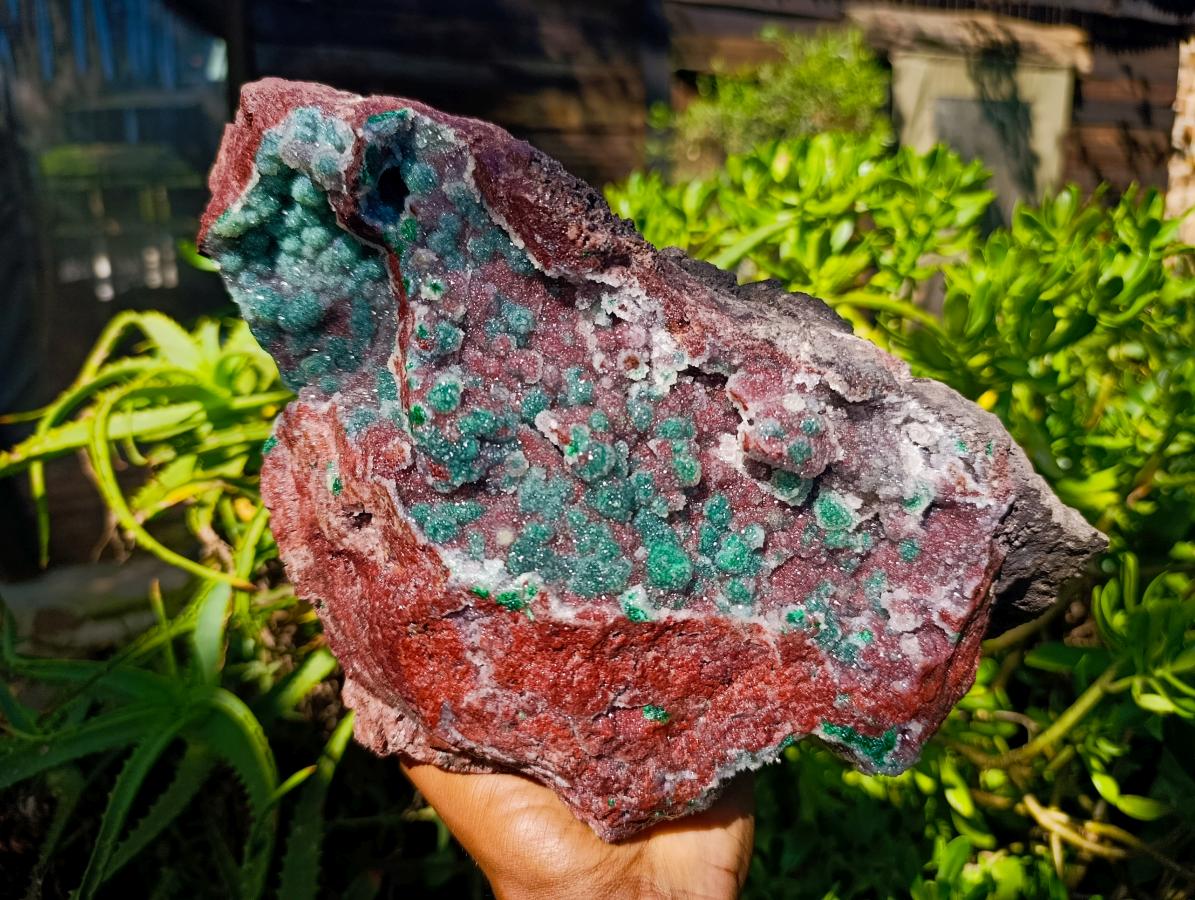 Natural Ball Malachite and Drusy Quartz on Red Dolomite x 1 From Mindingi Mine, Kambove, Congo