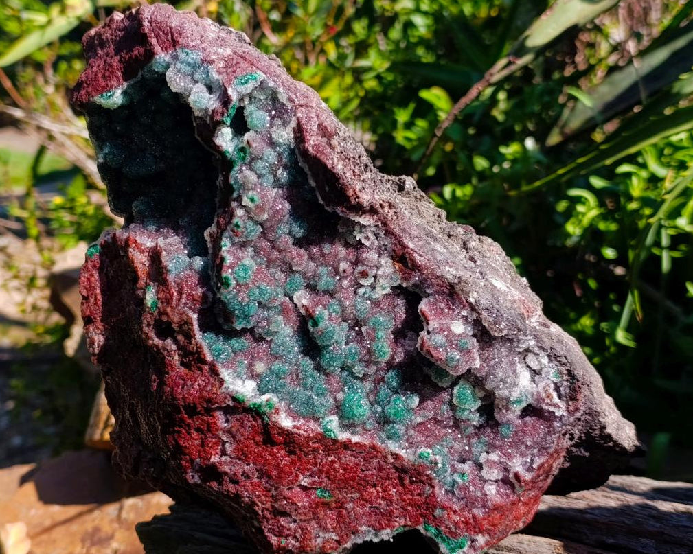 Natural Ball Malachite and Drusy Quartz on Red Dolomite x 1 From Mindingi Mine, Kambove, Congo