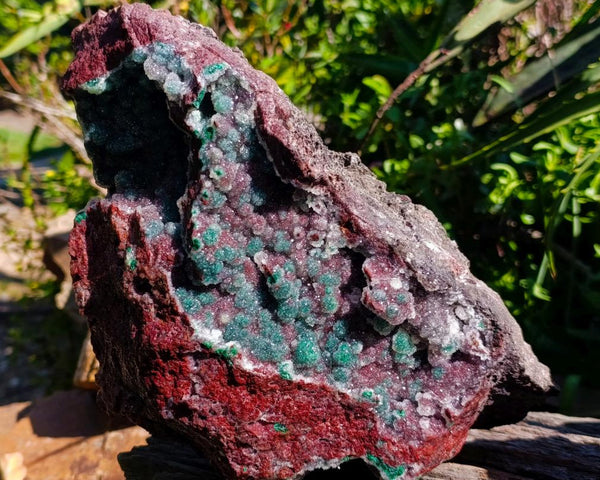 Natural Ball Malachite and Drusy Quartz on Red Dolomite x 1 From Mindingi Mine, Kambove, Congo