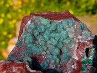 Natural Ball Malachite and Drusy Quartz on Red Dolomite x 1 From Mindingi Mine, Kambove, Congo