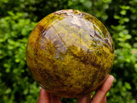 Polished Large Green Opal Sphere x 1 From Betroka, Madagascar