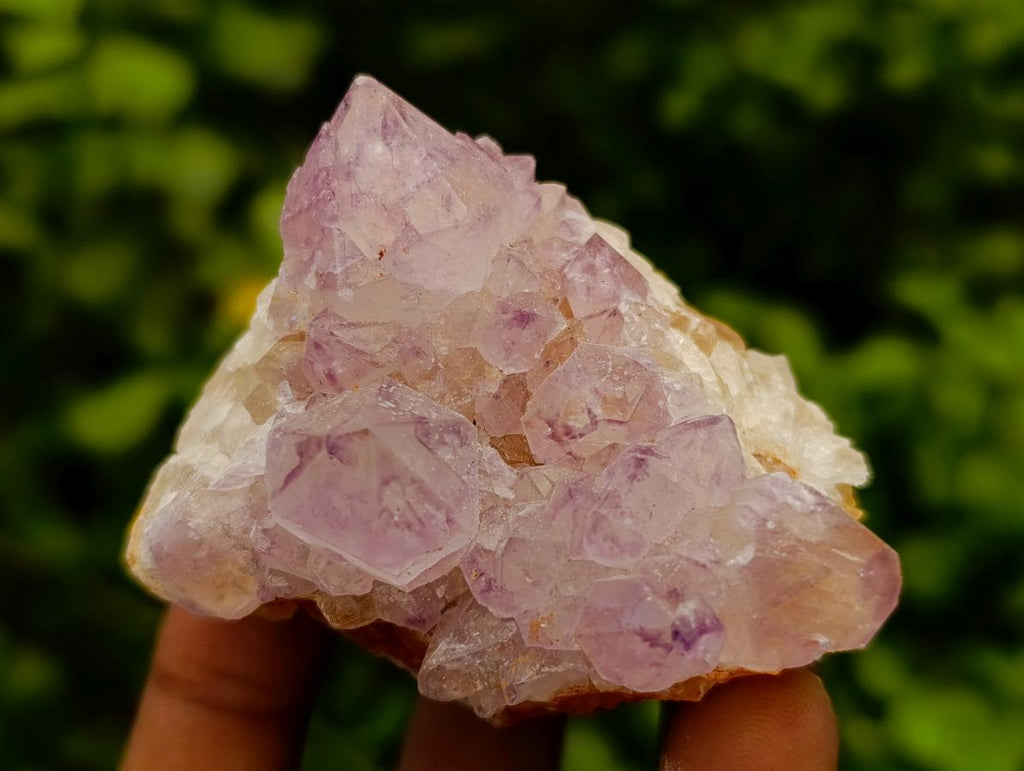 Natural Amethyst Spirit Clusters x 12 From Boekenhouthoek, South Africa