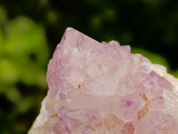 Natural Amethyst Spirit Clusters x 12 From Boekenhouthoek, South Africa