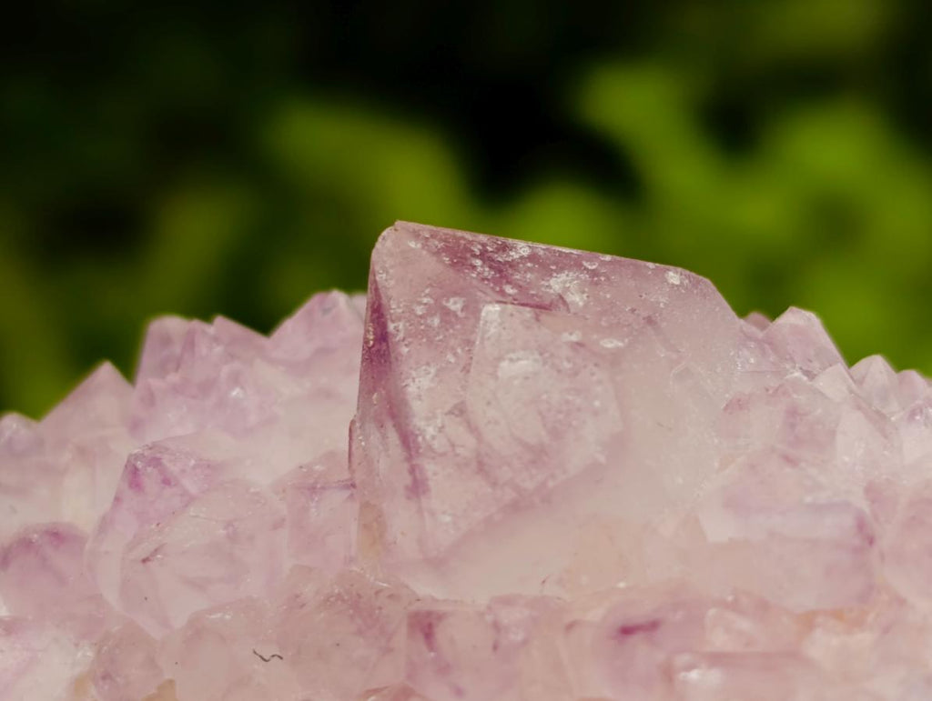 Natural Amethyst Spirit Clusters x 12 From Boekenhouthoek, South Africa