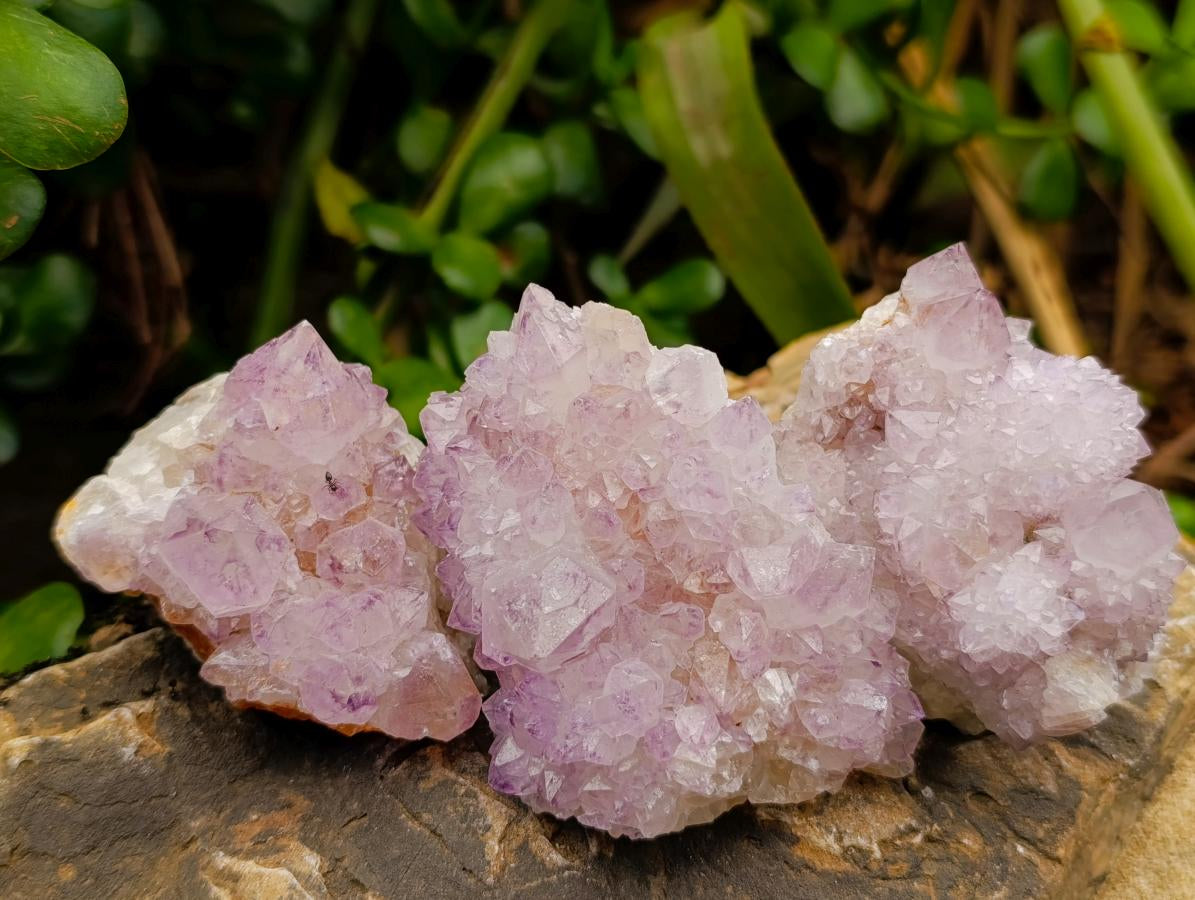 Natural Amethyst Spirit Clusters x 12 From Boekenhouthoek, South Africa