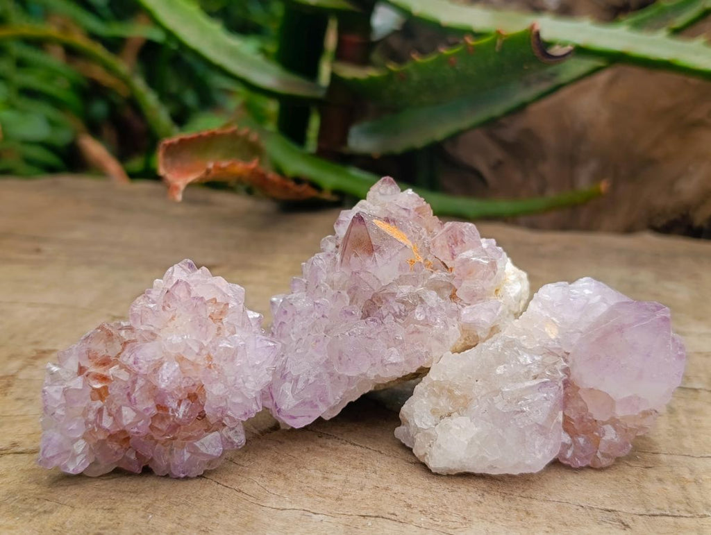 Natural Amethyst Spirit Clusters x 12 From Boekenhouthoek, South Africa