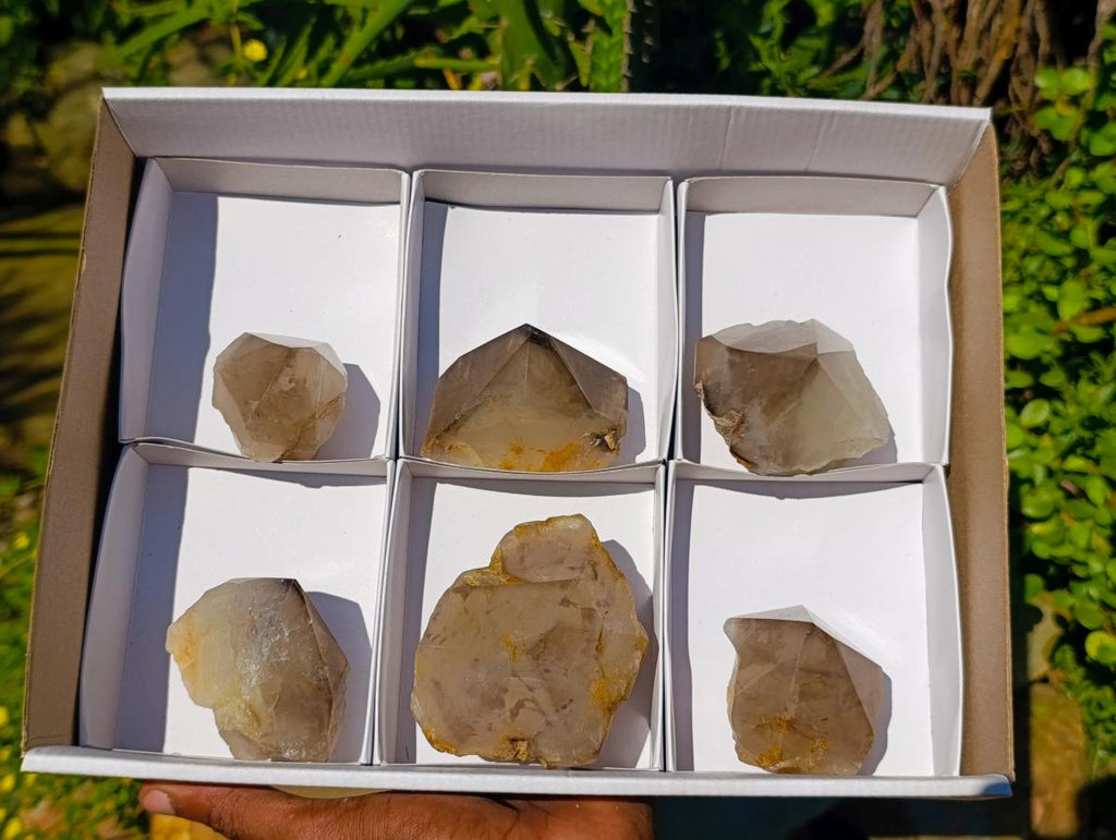 Polished Wispy Smokey Window Quartz Crystals x 6 From Madagascar