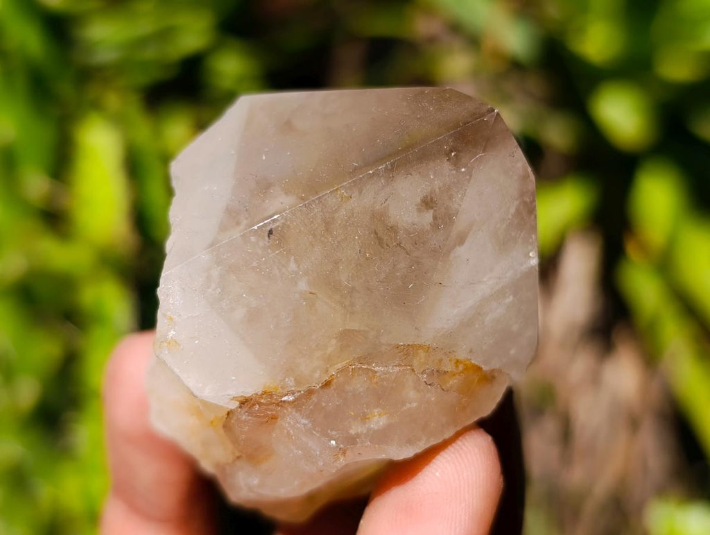 Polished Wispy Smokey Window Quartz Crystals x 6 From Madagascar
