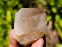 Polished Wispy Smokey Window Quartz Crystals x 6 From Madagascar