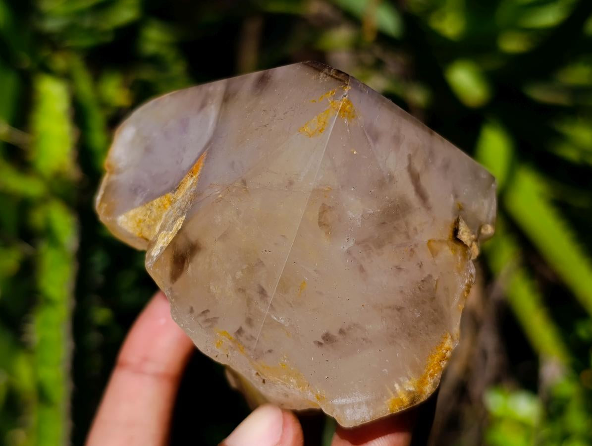 Polished Wispy Smokey Window Quartz Crystals x 6 From Madagascar