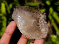 Polished Wispy Smokey Window Quartz Crystals x 6 From Madagascar