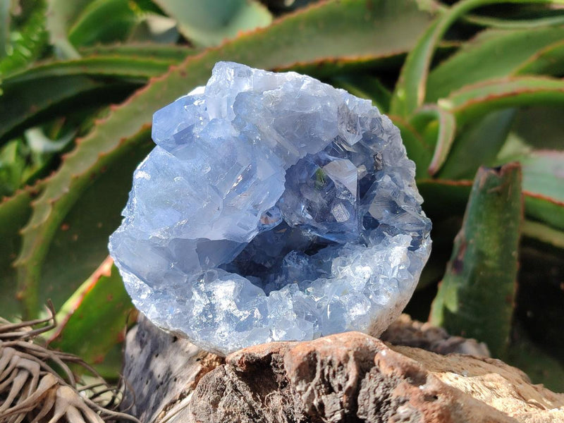 Natural Blue Celestite Specimens x 2 From Sakoany, Madagascar - Toprock Gemstones and Minerals 