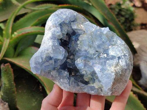 Natural Blue Celestite Specimens x 2 From Sakoany, Madagascar - Toprock Gemstones and Minerals 