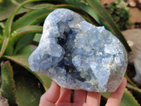 Natural Blue Celestite Specimens x 2 From Sakoany, Madagascar