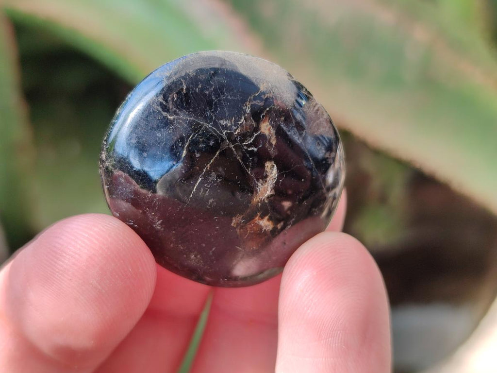 Polished Black Tourmaline Galets x 70 From Madagascar