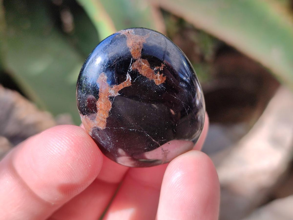 Polished Black Tourmaline Galets x 70 From Madagascar