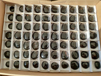 Polished Black Tourmaline Galets x 70 From Madagascar