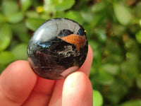 Polished Black Tourmaline Galets x 70 From Madagascar