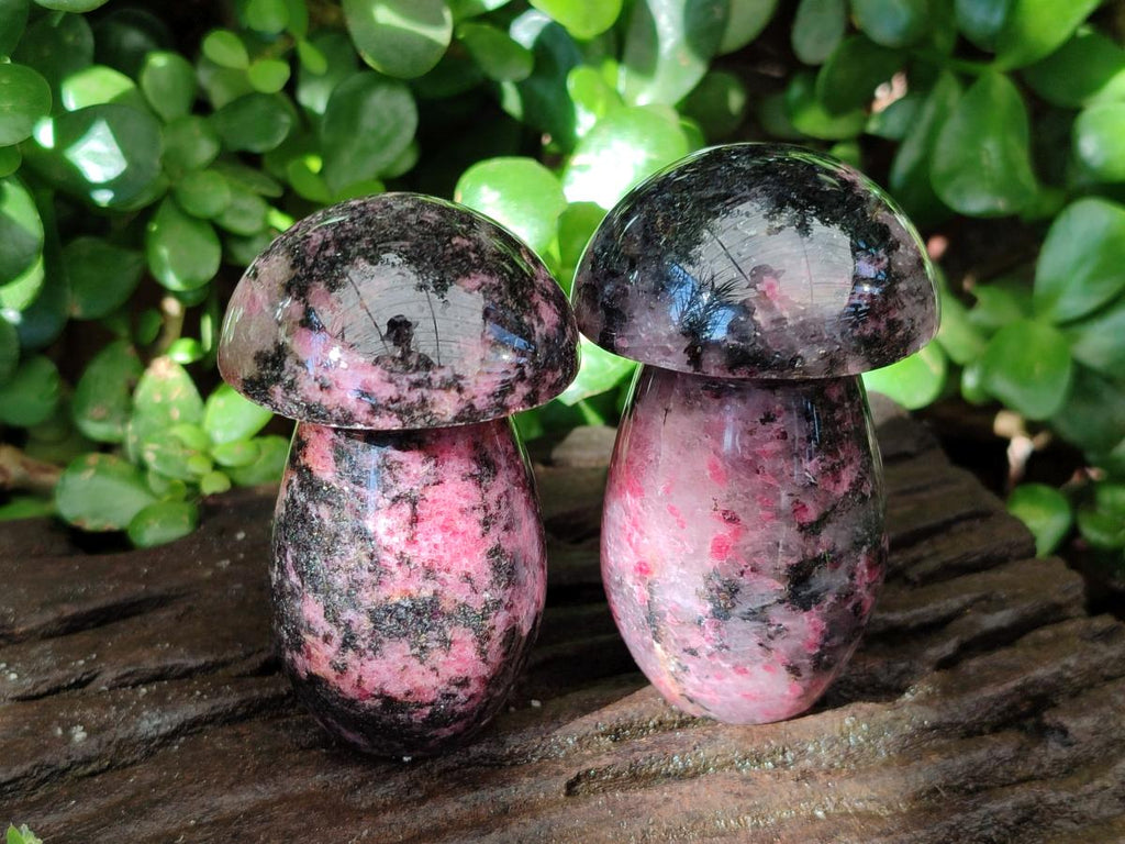 Polished Rhodonite Mushrooms x 6 From Ambindavato, Madagascar - Toprock Gemstones and Minerals 