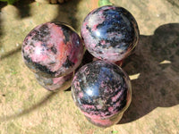 Polished Rhodonite Mushrooms x 6 From Ambindavato, Madagascar