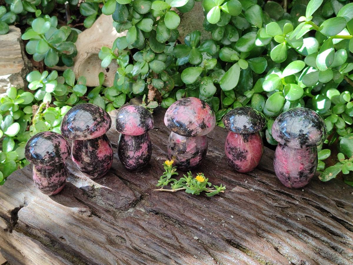 Polished Rhodonite Mushrooms x 6 From Ambindavato, Madagascar