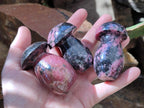 Polished Rhodonite Mushrooms x 6 From Ambindavato, Madagascar - Toprock Gemstones and Minerals 