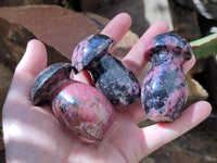 Polished Rhodonite Mushrooms x 6 From Ambindavato, Madagascar