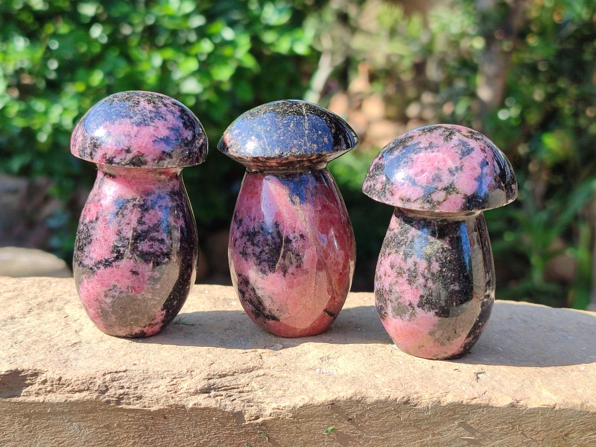 Polished Rhodonite Mushrooms x 6 From Ambindavato, Madagascar - Toprock Gemstones and Minerals 