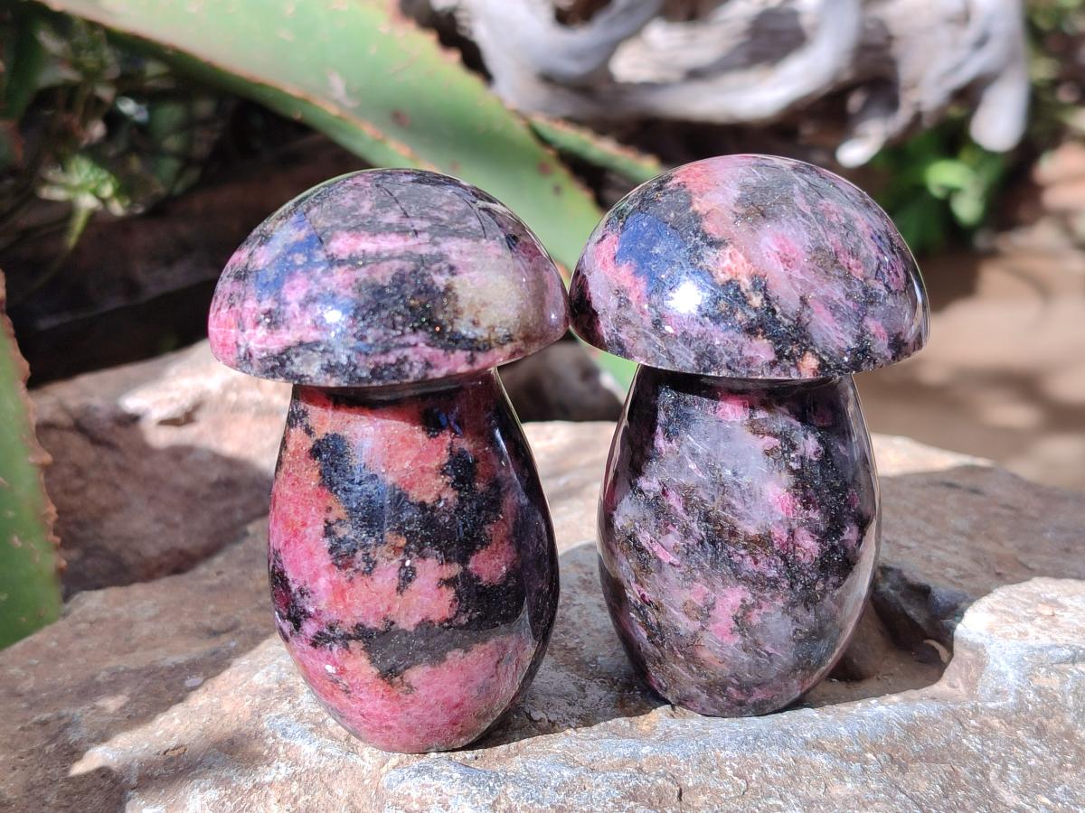 Polished Rhodonite Mushrooms x 6 From Ambindavato, Madagascar
