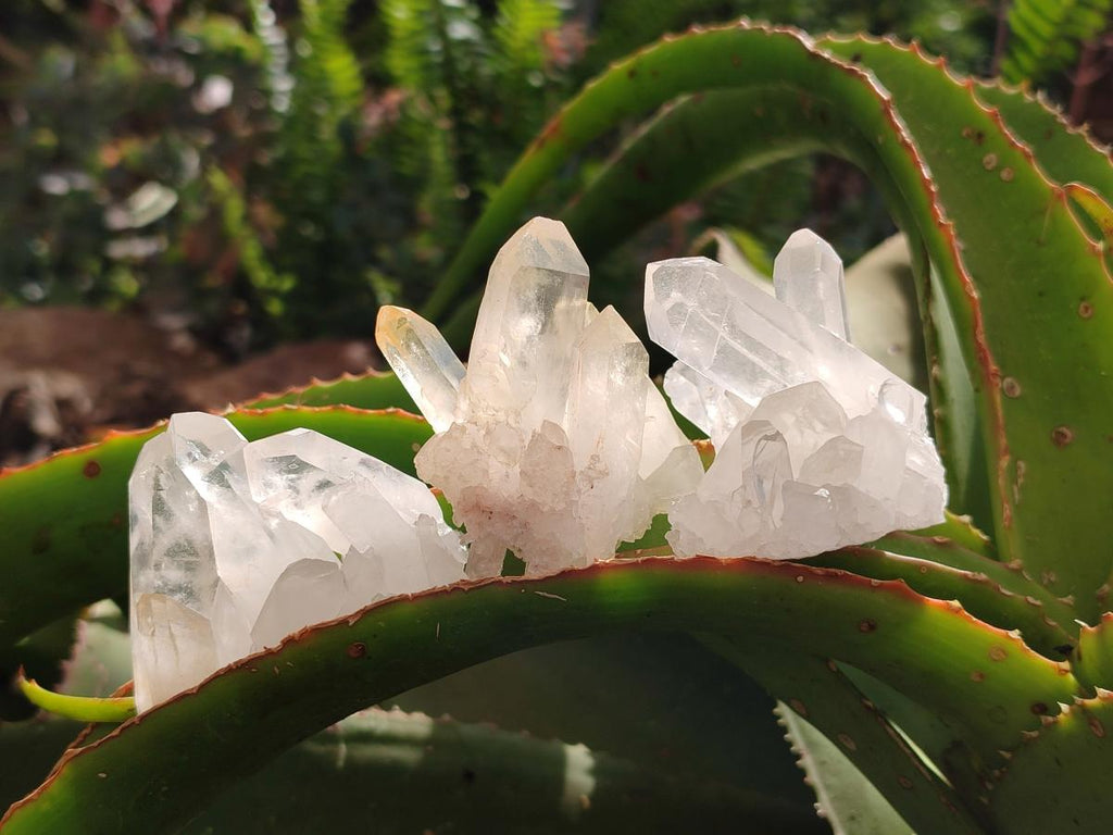 Natural Clear Quartz Clusters x 35 From Madagascar