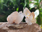 Natural Clear Quartz Clusters x 35 From Madagascar