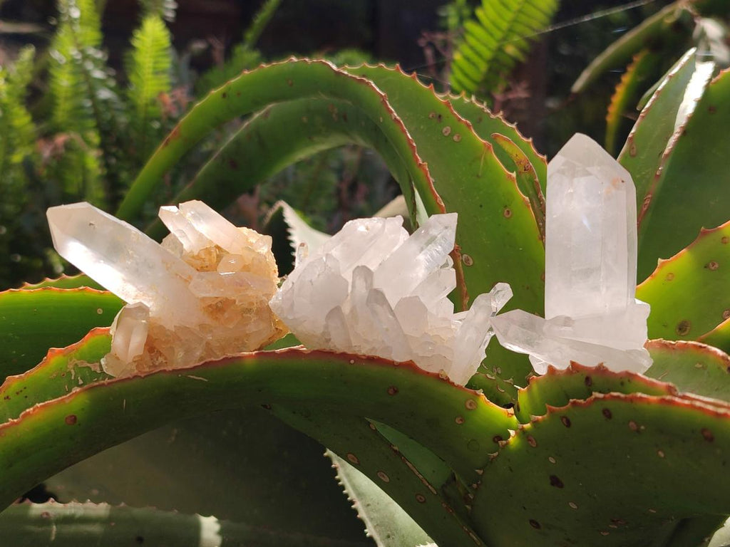 Natural Clear Quartz Clusters x 35 From Madagascar