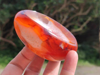 Polished Carnelian Agate Gemstone Bowl x 6 From Madagascar