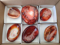 Polished Carnelian Agate Gemstone Bowl x 6 From Madagascar