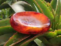 Polished Carnelian Agate Gemstone Bowl x 6 From Madagascar