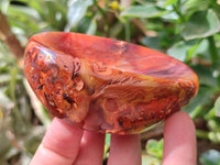 Polished Carnelian Agate Gemstone Bowl x 6 From Madagascar