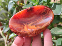Polished Carnelian Agate Gemstone Bowl x 6 From Madagascar