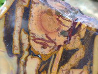 Polished On One Side Mixed Jasper Slices x 2 From Northern Cape, South Africa