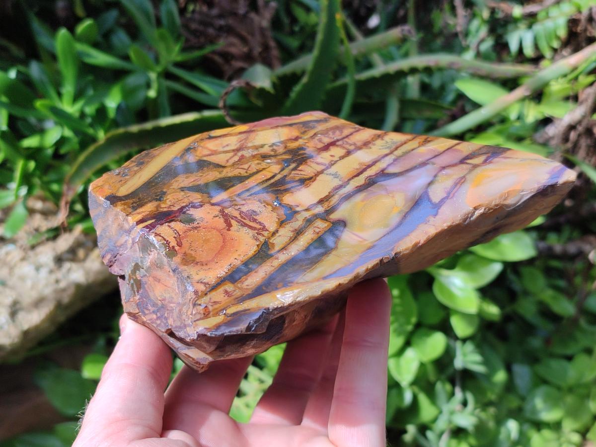Polished On One Side Mixed Jasper Slices x 2 From Northern Cape, South Africa