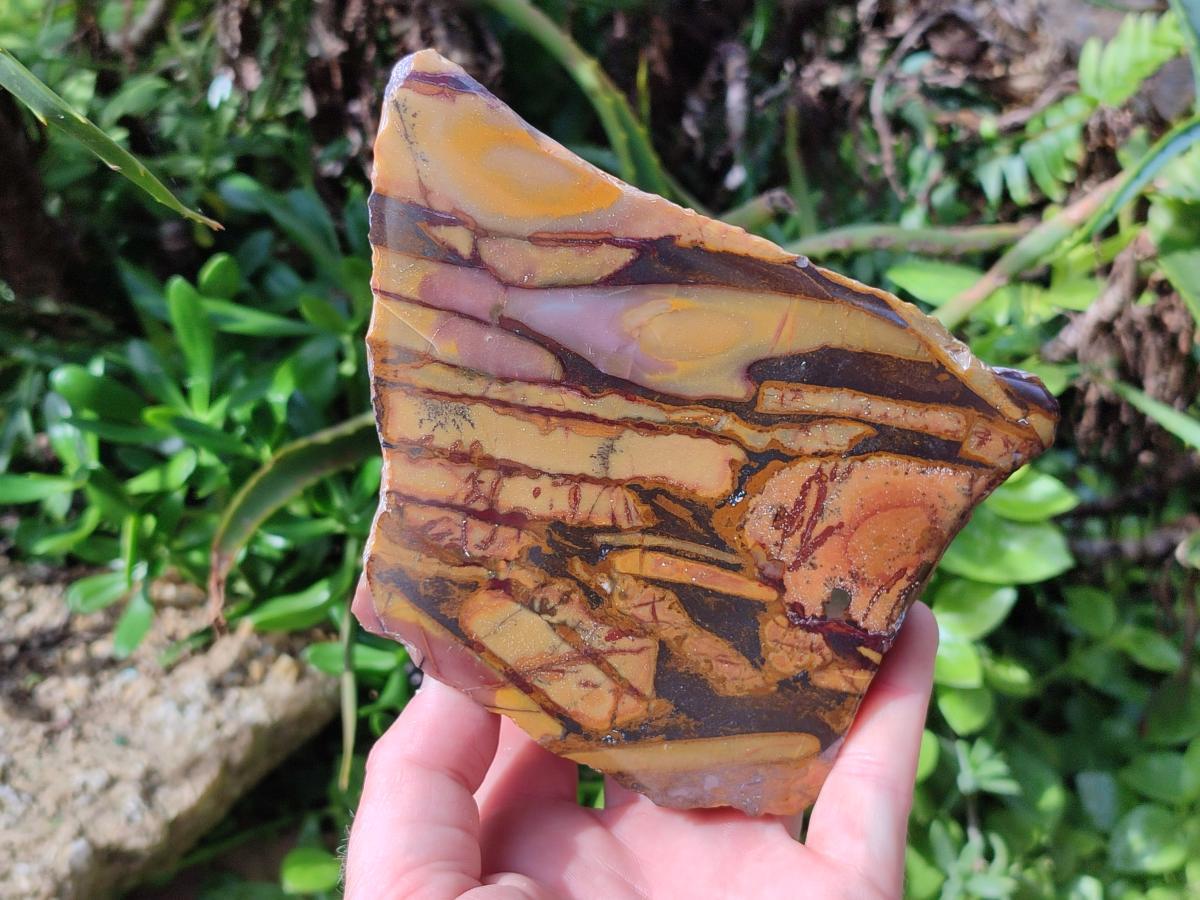 Polished On One Side Mixed Jasper Slices x 2 From Northern Cape, South Africa