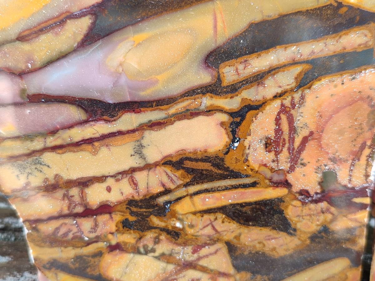 Polished On One Side Mixed Jasper Slices x 2 From Northern Cape, South Africa