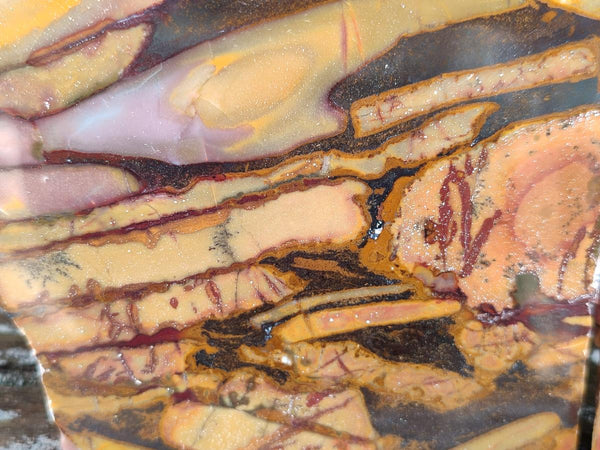 Polished On One Side Mixed Jasper Slices x 2 From Northern Cape, South Africa