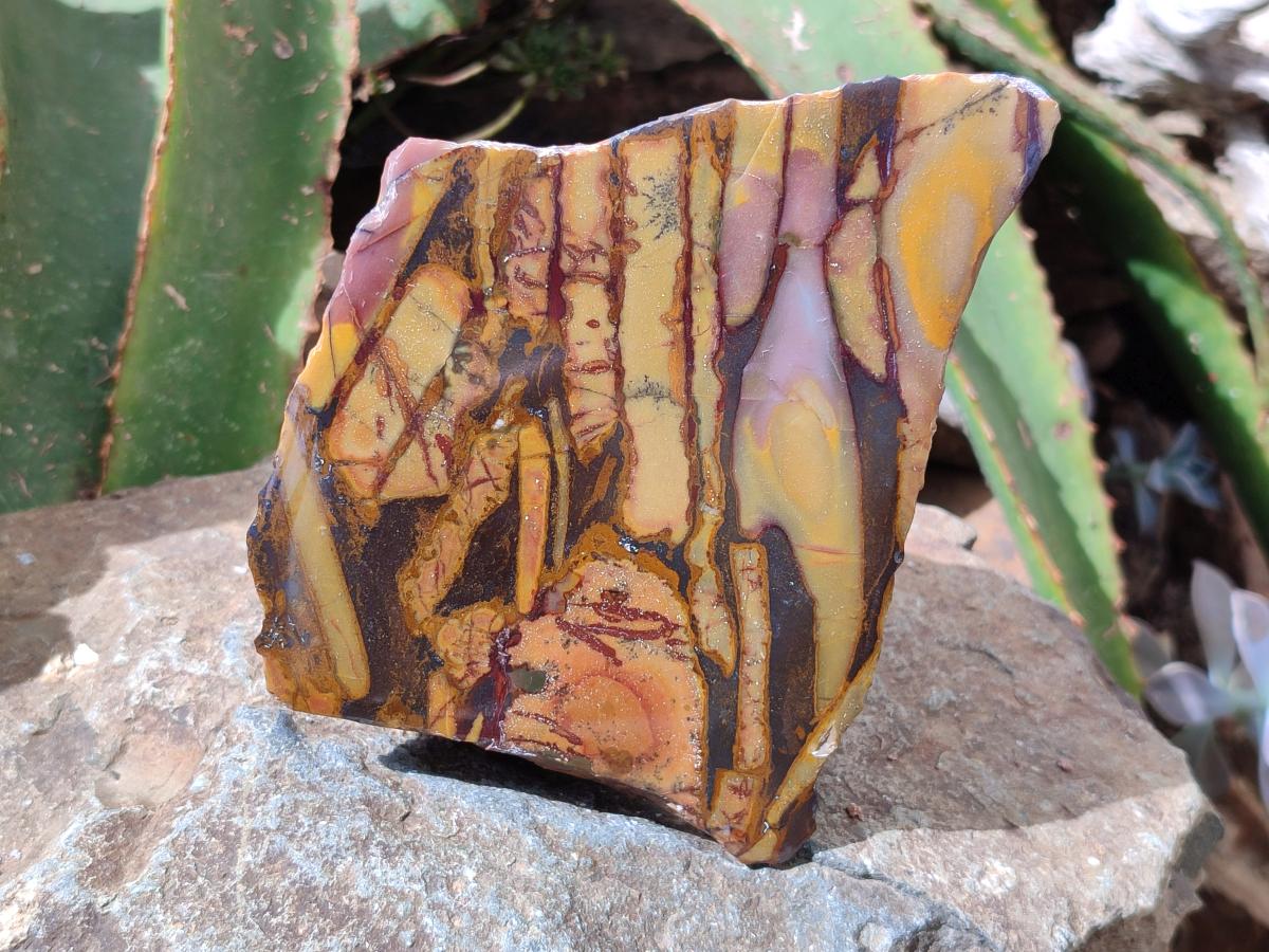 Polished On One Side Mixed Jasper Slices x 2 From Northern Cape, South Africa