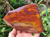 Polished On One Side Mixed Jasper Slices x 2 From Northern Cape, South Africa