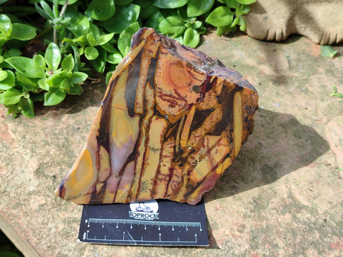 Polished On One Side Mixed Jasper Slices x 2 From Northern Cape, South Africa