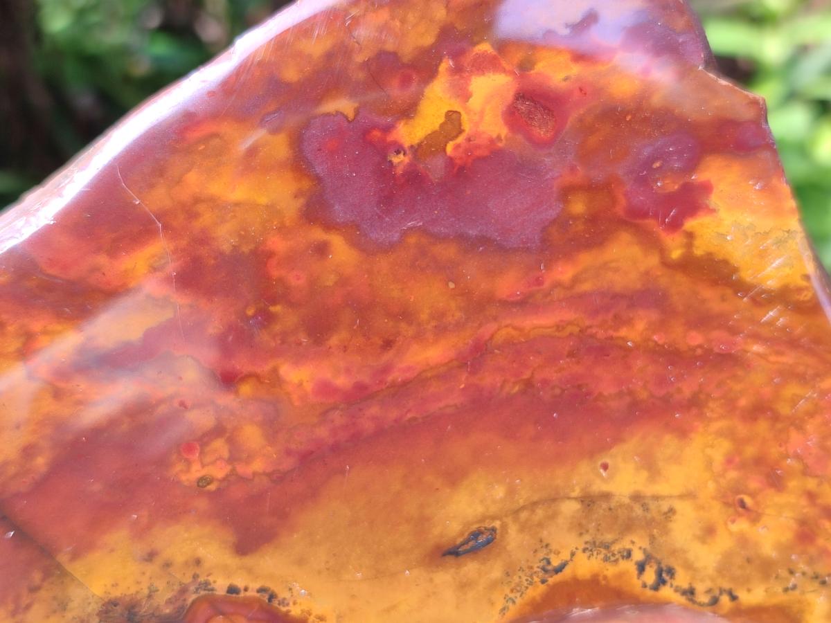 Polished On One Side Mixed Jasper Slices x 2 From Northern Cape, South Africa