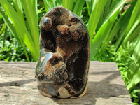 Polished Septerye Sauvage "Dragons Egg" Geode Standing Free Form x 1 From Mahajanga, Madagascar