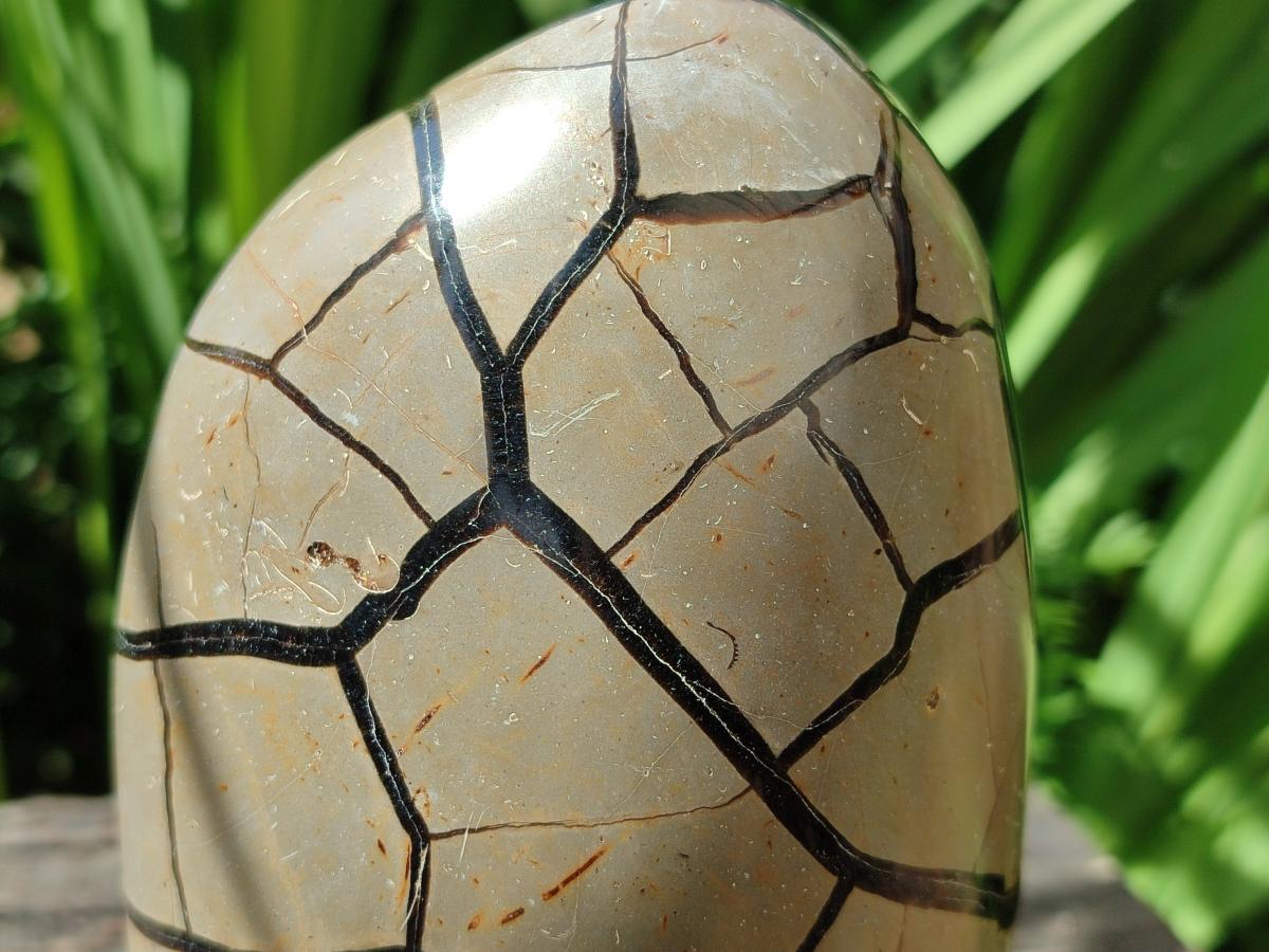 Polished Septerye Sauvage "Dragons Egg" Geode Standing Free Form x 1 From Mahajanga, Madagascar