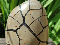 Polished Septerye Sauvage "Dragons Egg" Geode Standing Free Form x 1 From Mahajanga, Madagascar