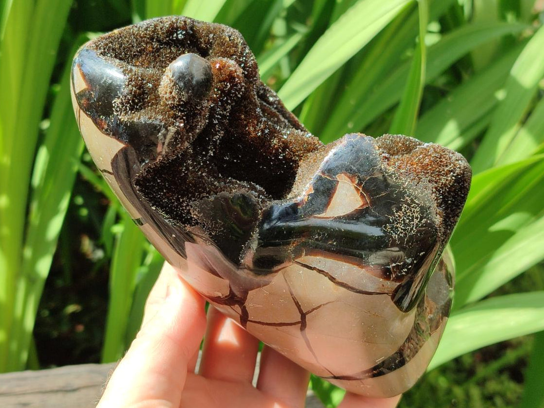 Polished Septerye Sauvage "Dragons Egg" Geode Standing Free Form x 1 From Mahajanga, Madagascar
